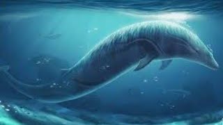 The Successor Of Mosasaurus [upl. by Soluk]