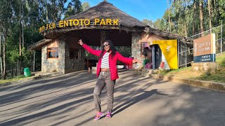 Ethiopia Travel Vlog  Entoto Park Full Tour [upl. by Yseult]