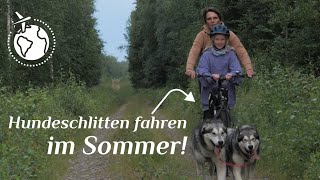 Hundeschlitten im Sommer  Stationshuset in Schweden  Vlog [upl. by Friedberg]