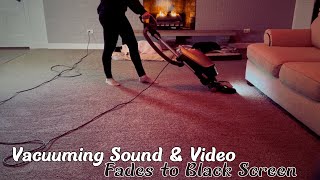 Vacuum Sound amp Video In Cozy Living Room With Fireplace amp Dogs  Fades to Black Screen [upl. by Selway925]