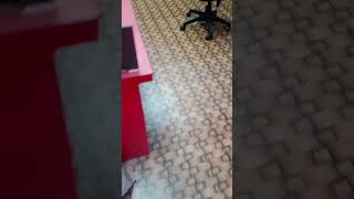 vinyl flooring installation malayalam [upl. by Syxela]