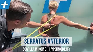 Serratus Anterior Exercises for Winging Scapula and Hypermobility  Tim Keeley  Physio REHAB [upl. by Weslee703]