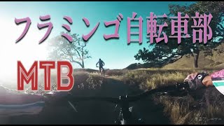 フラミンゴ自転車部LA支部  Calabasas CA relive MTB [upl. by Bromley]