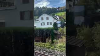 My favorite train route From Zürich to Bellinzona 😍 Did you see the cows at the end Make comment [upl. by Innor]