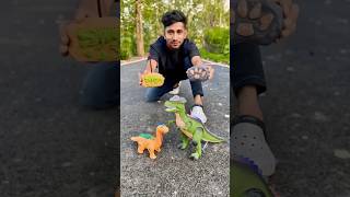 Rc Pet vs Remote Control Dinosaur 🦖 Testing [upl. by Teirtza551]