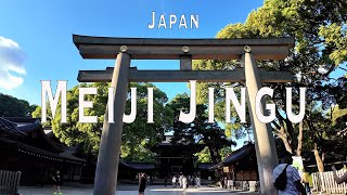 Meiji Jingu 4K Walking Tour Tokyo Japan  Tour with Captions amp Immersive Sound明治神宮 [upl. by Narok]