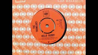 The Tremeloes  Hello Buddy 1971 CBS 7294 aside Vinyl rip [upl. by Mcnutt]