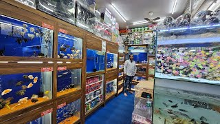 Karnataka Aquarium Fish Shop Bangalore [upl. by Eada]