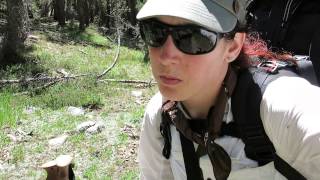 The John Muir Trail Landmark  Part 1 [upl. by Fradin]