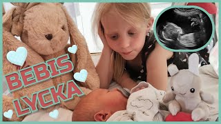 BEBIS LYCKA 👶 VI HAR BLIVIT 5 I FAMILJEN VLOGG [upl. by Suedaht]