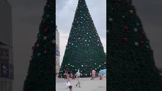 Merry xmas gabriyelinte darsanamdance video rhythmic squad mallu xmas dance video [upl. by Marj]