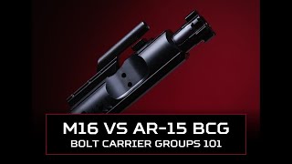 Should You Get an AR15 or M16 BCG Bolt Carrier Groups 101 [upl. by Ial]