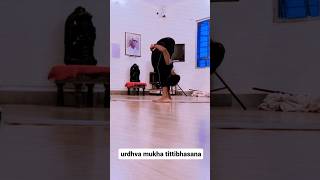 urdhva mukha tittibhasana  yoga asana for healthy lifestyle  shorts trending viralshorts [upl. by Allard431]