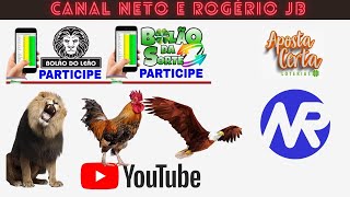 RESULTADO AO VIVO ROGERIO E NETO JB  FEDERAL  16112024 [upl. by Brosy]