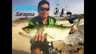 Shimano Saragosa 5000 vs Bluefish [upl. by Frey111]