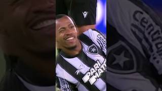 Botafogo 3 X 4 Palmeiras  Piscadinha de Marlon Freitas [upl. by Barthold]