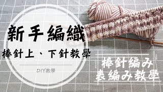 How to Do a Purl Stitch  棒針上下針基礎教學簡單圍巾編織 [upl. by Tirma]