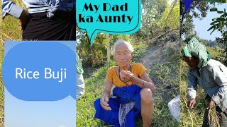 Assam ki rice season 2024 nov27 Ready M vlogs First time [upl. by Aaron]