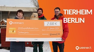 Tierheim Berlin Experts [upl. by Stilla]