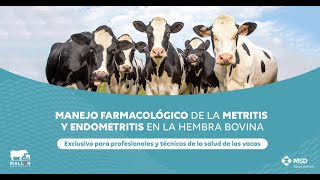 Manejo Farmacológico de la Metritis y Endometritis en la Hembra Bovina [upl. by Trula660]