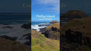 Phillip Island  Australia [upl. by Draned722]