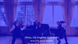 Charlie Chaplin Limelight Music Theme  Chursächsische Cafémusik Bad Elster [upl. by Morel]