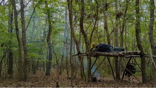 Tree deck in Japanese forest [upl. by Neerac]