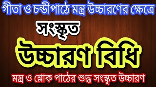 সংস্কৃত উচ্চারণ বিধি।। সংস্কৃত মন্ত্র ও শ্লোকের উচ্চারণ।। Nimbark Gita।। Class227 [upl. by Irallih]