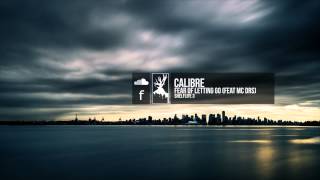 Calibre  Fear Of Letting Go feat MC DRS [upl. by Elenahc218]