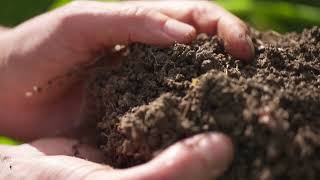 The Soil Looseness SECRET Thats Changing Gardening Forever [upl. by Enomal]