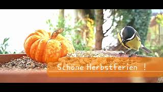 Schöne Herbstferien [upl. by Gerik]