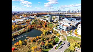 York University YORKU  Keele Campus Aerial View in Fall Season [upl. by Zsamot5]