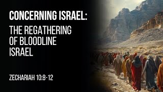 Concerning Israel The Regathering of Bloodline Israel [upl. by Anayeek50]