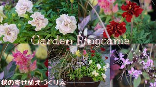 【ガーデニング】華やかな秋の寄せ植えづくり🌼【寄せ植え】 [upl. by Carilla]