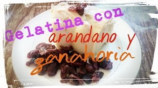 Gelatina con arandano y zanahoria [upl. by Grimbald]