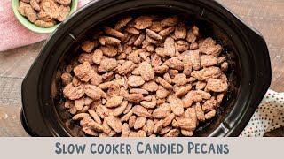 Slow Cooker Candied Pecans [upl. by Eyahsal]