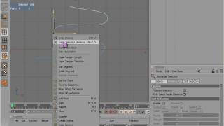 Cinema 4D Basics 12  Splines 01 [upl. by Baelbeer956]