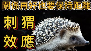 關係再好也要保持距離，人與人最好的交往方式，刺猬效應（心理學） [upl. by Giorgi236]