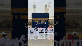 Allah Subhana Tala Surah An Nisa Mein Farmate Hai quran shorts ytshorts [upl. by Niltac]