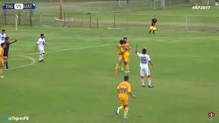 3a Div  Tigres SD 40 Correcaminos  Resumen J12 T1718 [upl. by Adne]