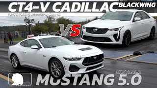 2024 Cadillac CT4 V Blackwing vs 2024 Ford Mustang Fastback 5 0 [upl. by Nal]