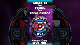 Ahora es vs Felina vs Baila Morena  Wisin y Yandel vs Hector y Tito Nayef Qva Live Mix [upl. by Farnsworth]