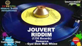 Jouvert Riddim Mix February 2012 UIM Records [upl. by Lerraf]