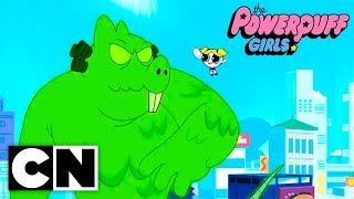 The Powerpuff Girls  Strong Armed Clip 3 [upl. by Idnyc]