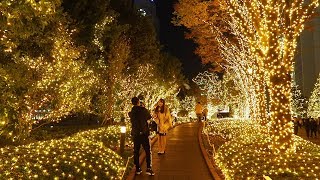 TOKYO【Christmas Lights】Shinjuku Station2018 4k 新宿ミナミルミ [upl. by Ecaidnac]