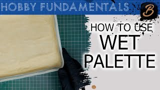 HOW TO MAKE AND USE A WET PALETTE A StepByStep Guide [upl. by Ahseile903]