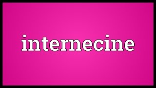 Internecine Meaning [upl. by Christian]