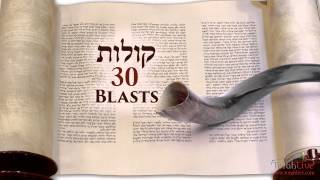 Understanding the Shofar Blasts on Rosh Hashanah [upl. by Jelsma565]