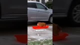 Just marre  Part 1famille couple humour funny drole parodie fun kakijoy marre marrix [upl. by Oniram]