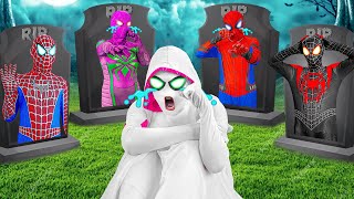 PRO 5 SPIDERMAN Team  BRIDE SPIDER GIRL Fights JOKER to REVENGER for SPIDER MAN LIVE ACTION [upl. by Amandie]